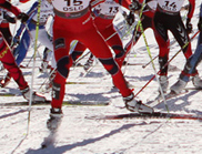 Movement Theory/Technique